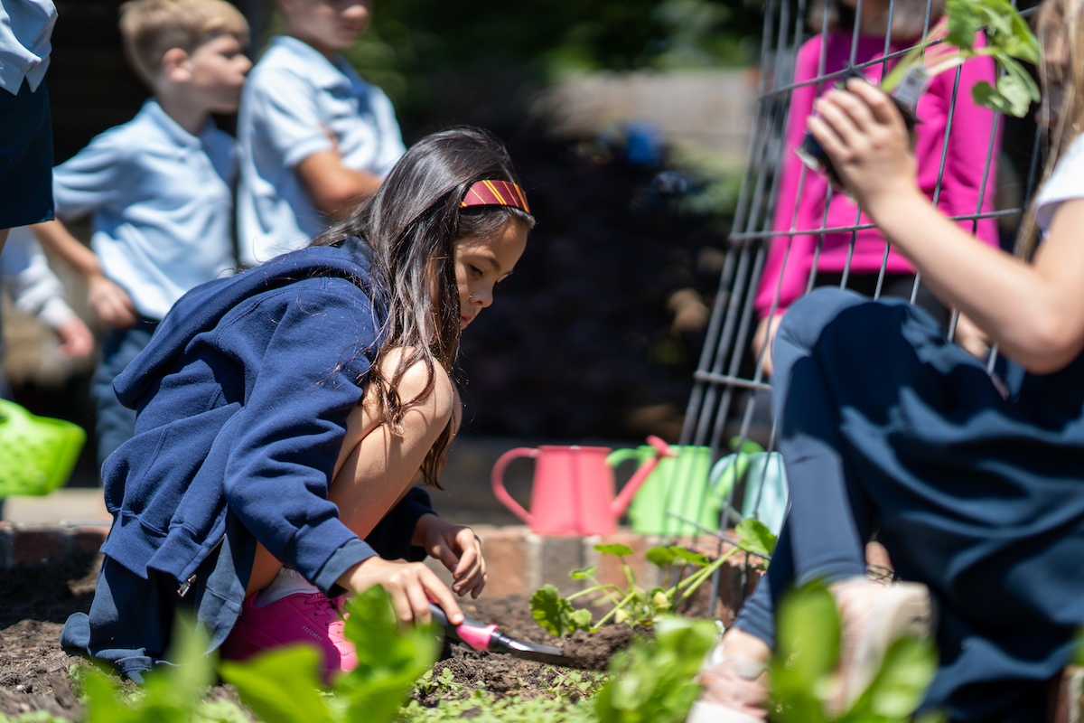 St. Timothy's student tending to our school's garden